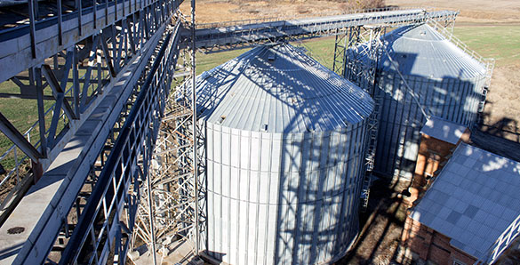 Вариант АгроСтрой: кризис — самое время для роста